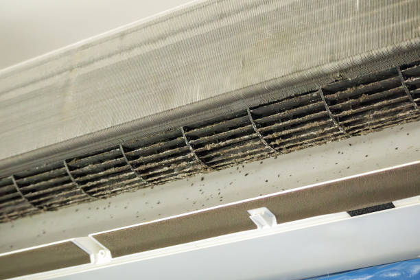 Best Affordable Duct Cleaning Services  in Williams, OR